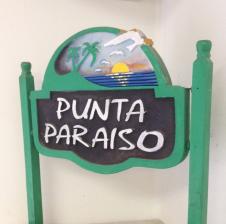 Sandblasted sign project example 6